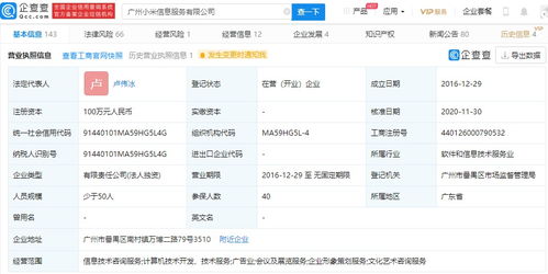 小米高層調整 王川退出廣州信息服務公司，盧偉冰接任，強化信息技術咨詢業務布局